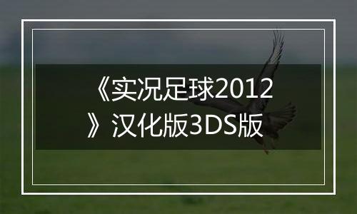 《实况足球2012》汉化版3DS版