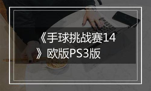 《手球挑战赛14》欧版PS3版