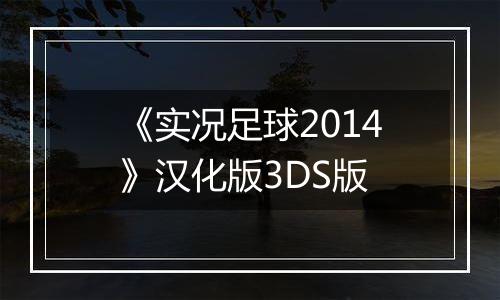 《实况足球2014》汉化版3DS版