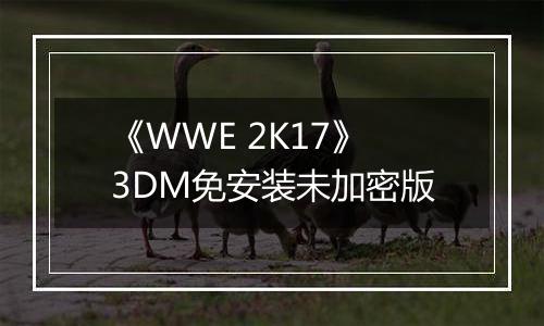 《WWE 2K17》3DM免安装未加密版