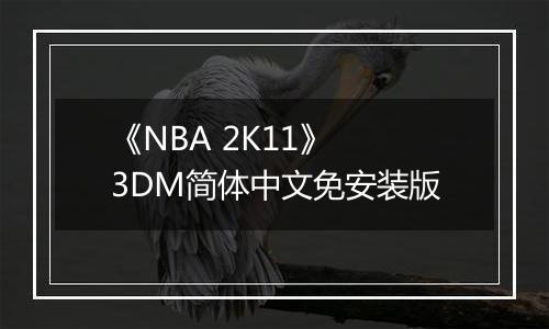 《NBA 2K11》 3DM简体中文免安装版