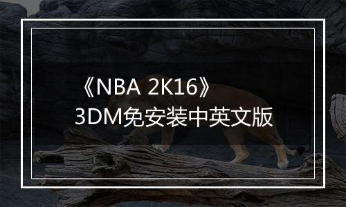 《NBA 2K16》 3DM免安装中英文版