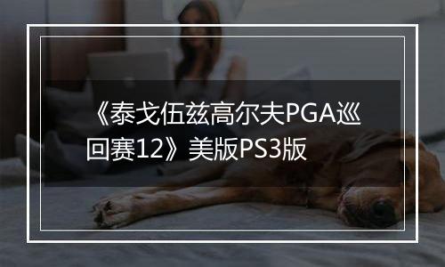 《泰戈伍兹高尔夫PGA巡回赛12》美版PS3版