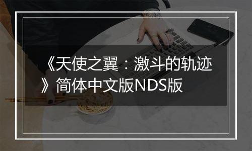 《天使之翼：激斗的轨迹》简体中文版NDS版