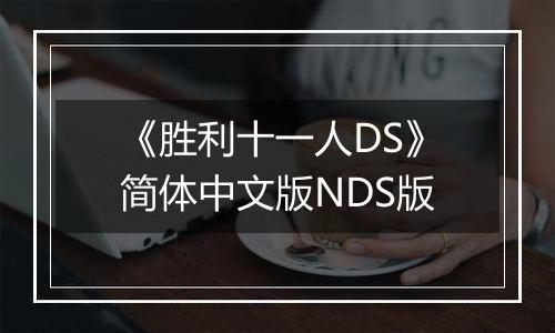 《胜利十一人DS》简体中文版NDS版