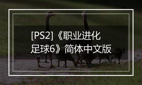 [PS2]《职业进化足球6》简体中文版