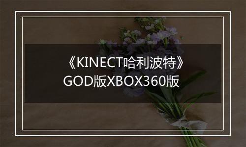 《KINECT哈利波特》GOD版XBOX360版