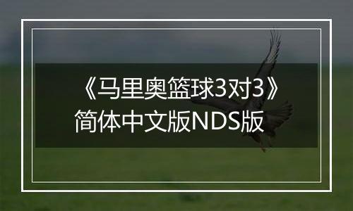 《马里奥篮球3对3》简体中文版NDS版