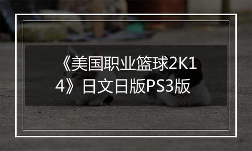 《美国职业篮球2K14》日文日版PS3版
