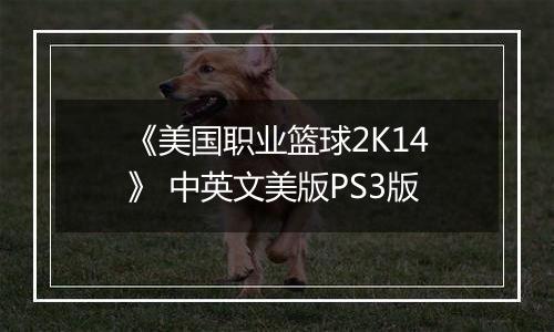 《美国职业篮球2K14》 中英文美版PS3版