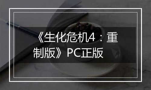 《生化危机4：重制版》PC正版