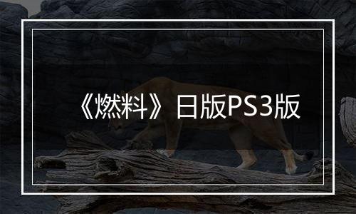 《燃料》日版PS3版