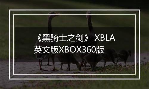《黑骑士之剑》 XBLA英文版XBOX360版