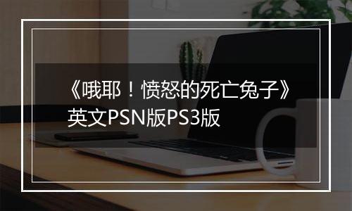 《哦耶！愤怒的死亡兔子》 英文PSN版PS3版