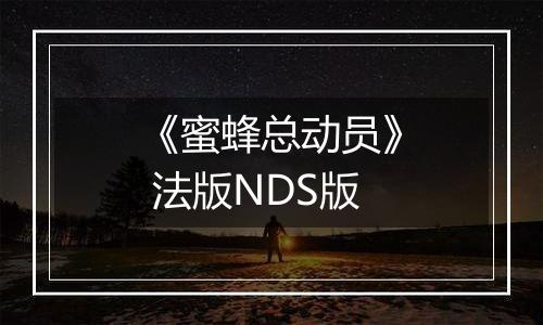 《蜜蜂总动员》 法版NDS版