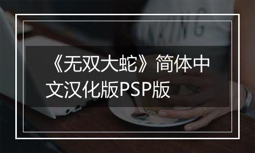 《无双大蛇》简体中文汉化版PSP版