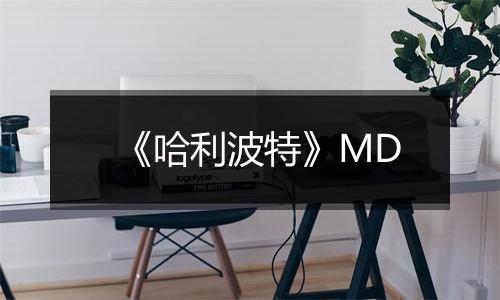 《哈利波特》MD