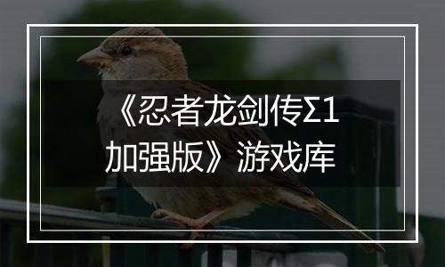 《忍者龙剑传Σ1加强版》游戏库