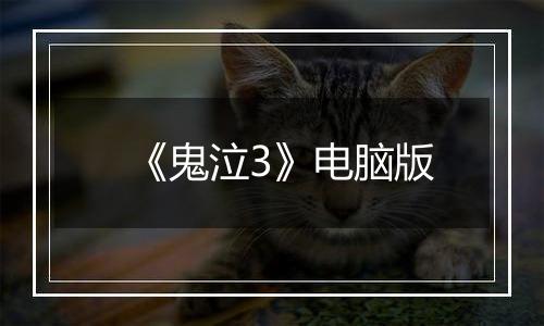 《鬼泣3》电脑版