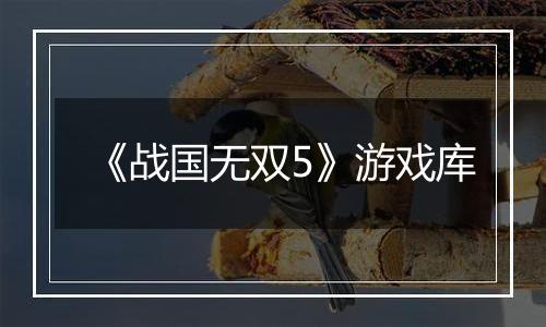 《战国无双5》游戏库