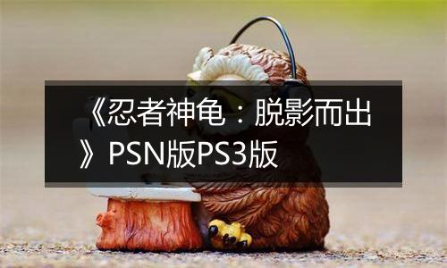 《忍者神龟：脱影而出》PSN版PS3版