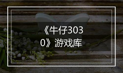 《牛仔3030》游戏库