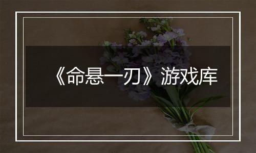 《命悬一刃》游戏库