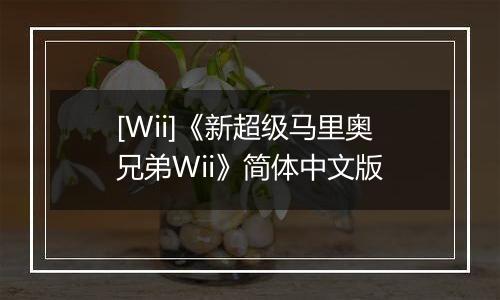 [Wii]《新超级马里奥兄弟Wii》简体中文版