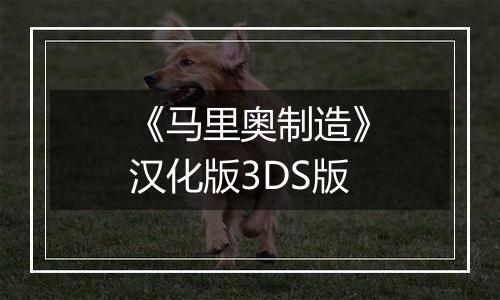 《马里奥制造》汉化版3DS版