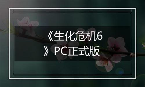 《生化危机6》PC正式版