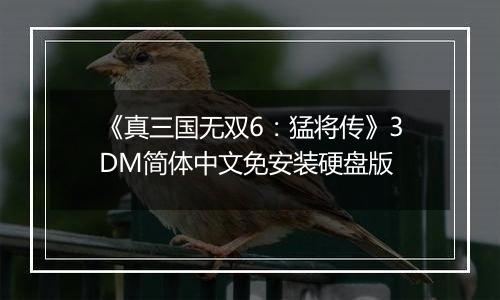《真三国无双6：猛将传》3DM简体中文免安装硬盘版