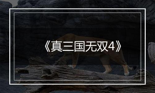 《真三国无双4》