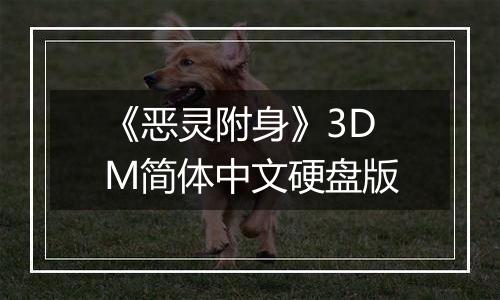 《恶灵附身》3DM简体中文硬盘版