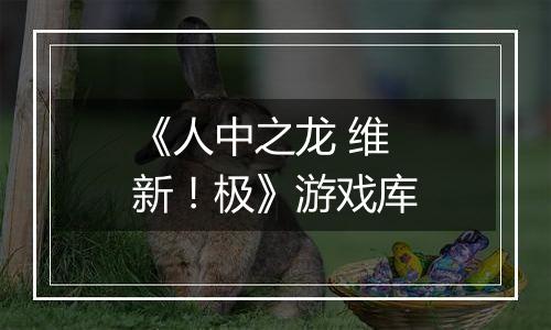 《人中之龙 维新！极》游戏库
