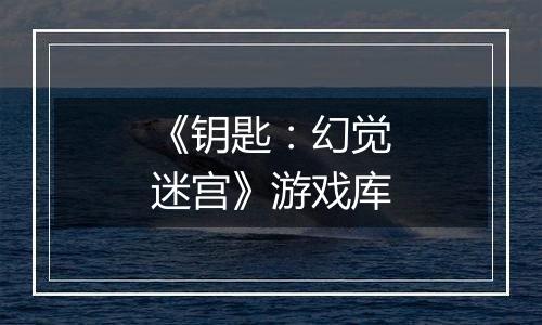 《钥匙：幻觉迷宫》游戏库