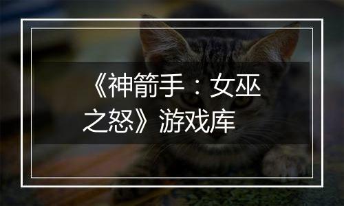 《神箭手：女巫之怒》游戏库