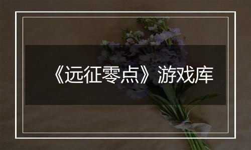 《远征零点》游戏库