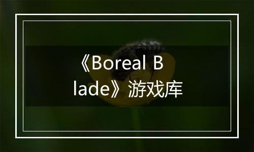 《Boreal Blade》游戏库