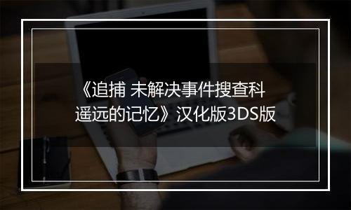 《追捕 未解决事件搜查科 遥远的记忆》汉化版3DS版