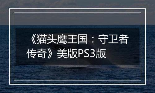 《猫头鹰王国：守卫者传奇》美版PS3版