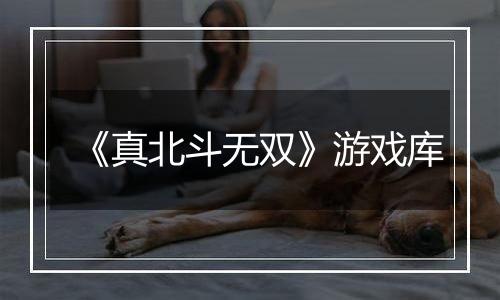 《真北斗无双》游戏库