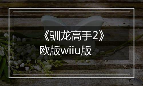 《驯龙高手2》欧版wiiu版