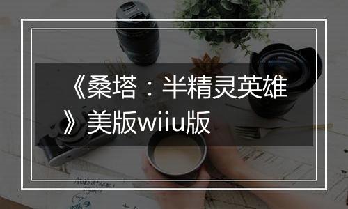 《桑塔：半精灵英雄》美版wiiu版