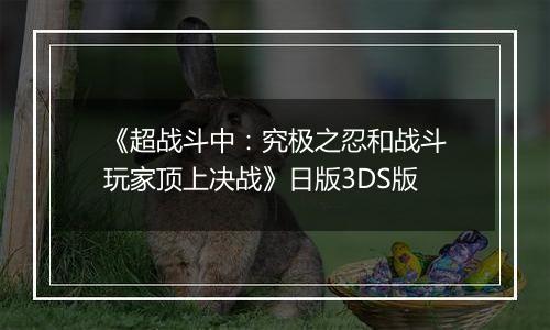 《超战斗中：究极之忍和战斗玩家顶上决战》日版3DS版