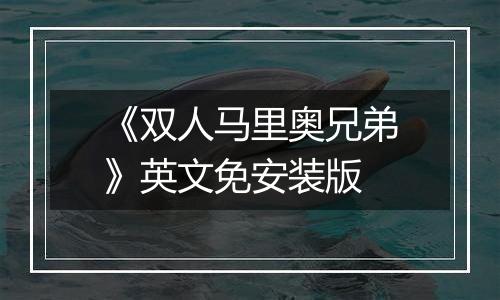 《双人马里奥兄弟》英文免安装版