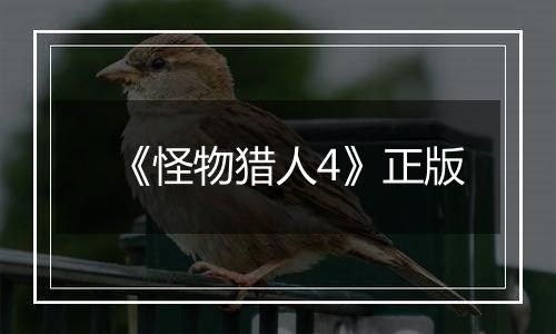 《怪物猎人4》正版