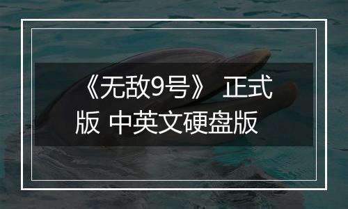 《无敌9号》 正式版 中英文硬盘版