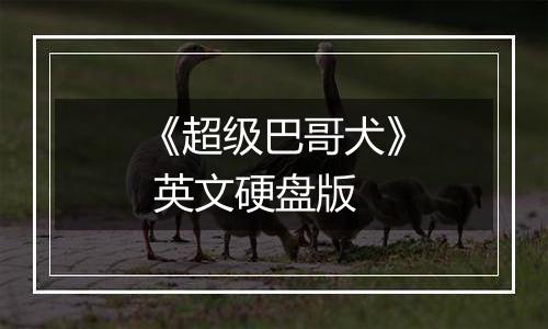 《超级巴哥犬》 英文硬盘版