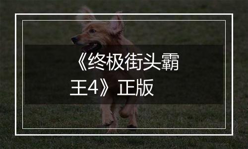 《终极街头霸王4》正版