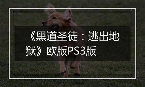 《黑道圣徒：逃出地狱》欧版PS3版